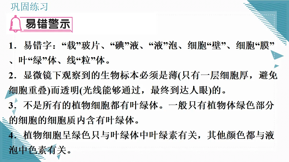 17337763第4页