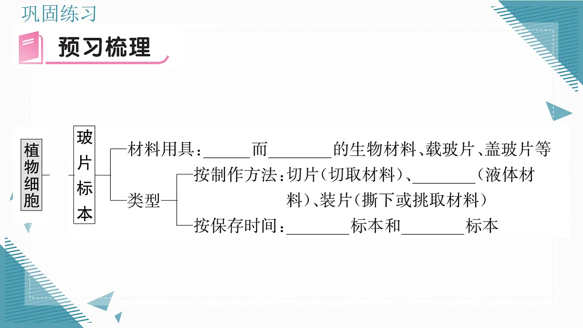 17337763第5页
