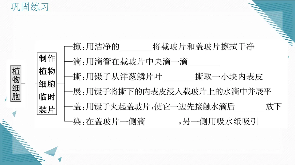 17337763第6页