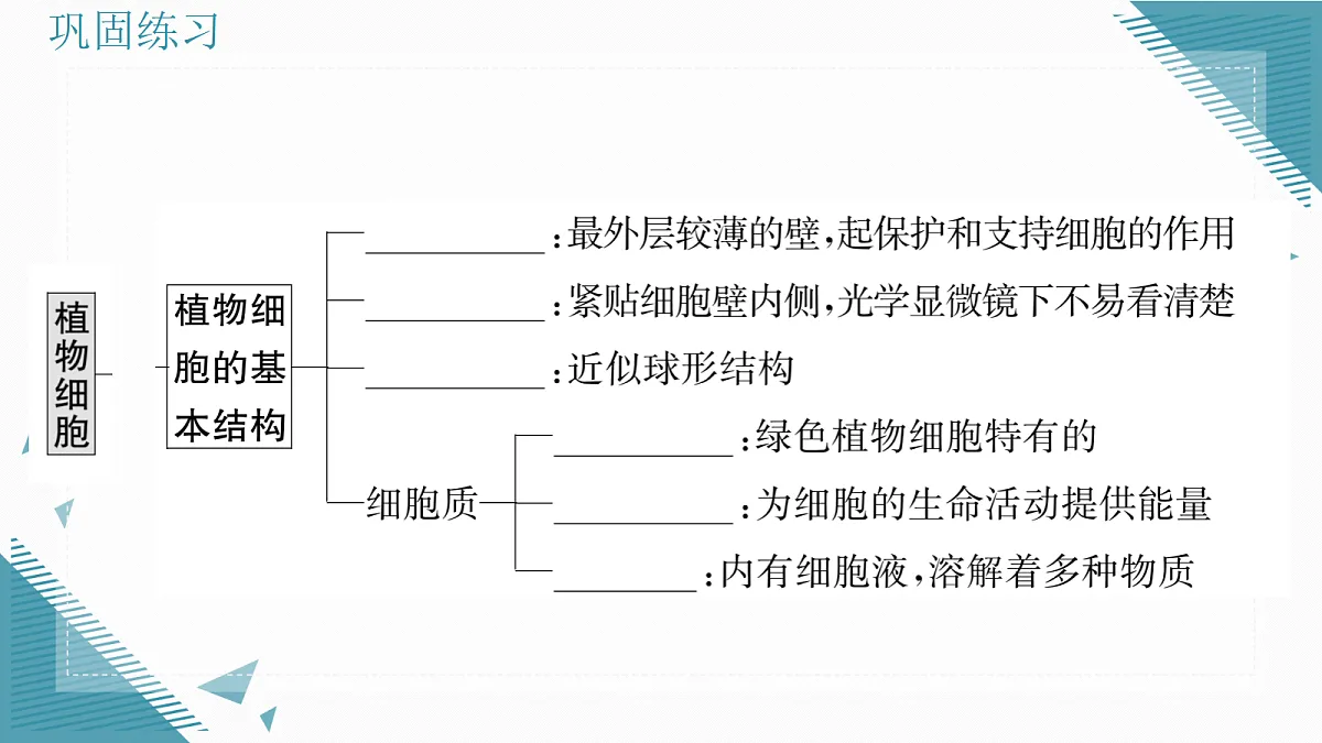 17337763第7页