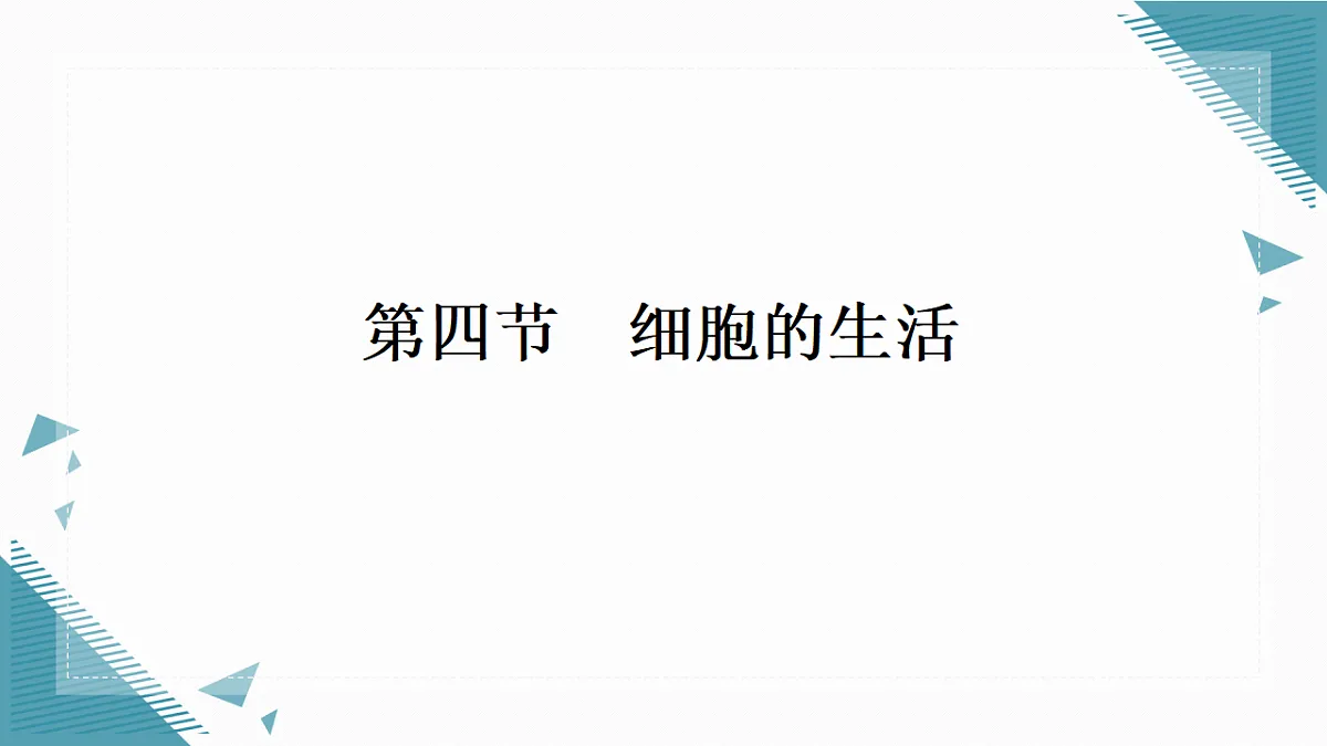17337764第1页
