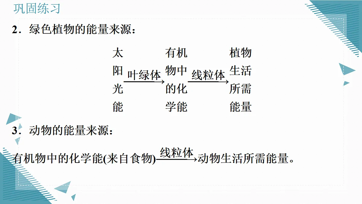 17337764第3页