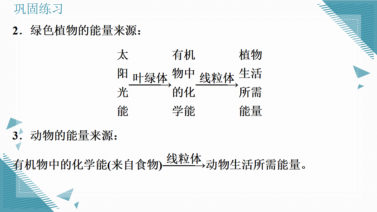 17337764第3页