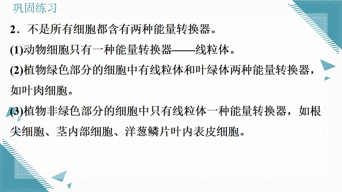 17337764第5页