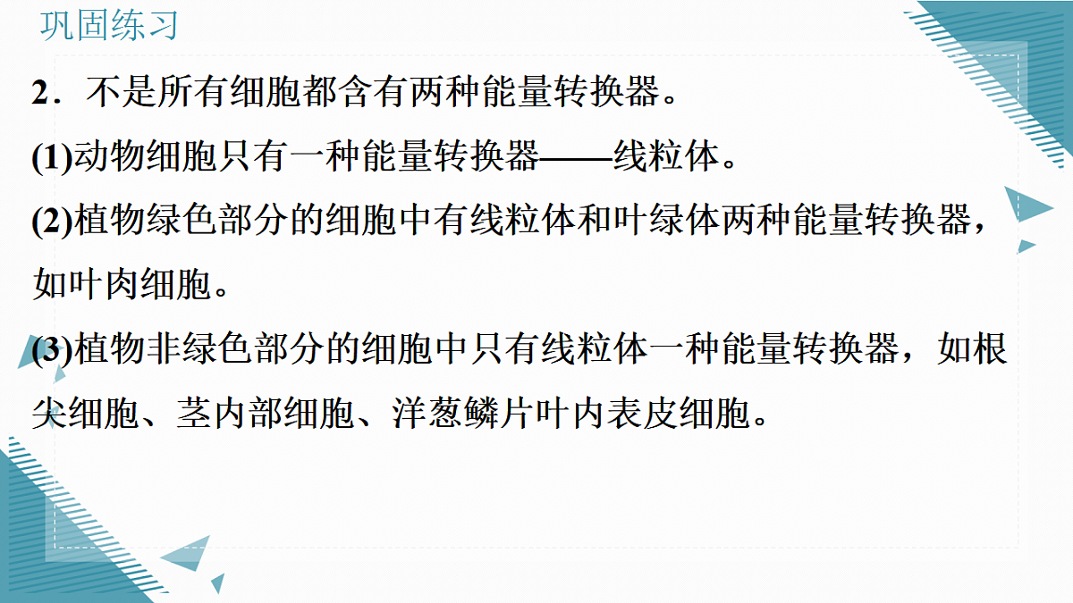 17337764第5页