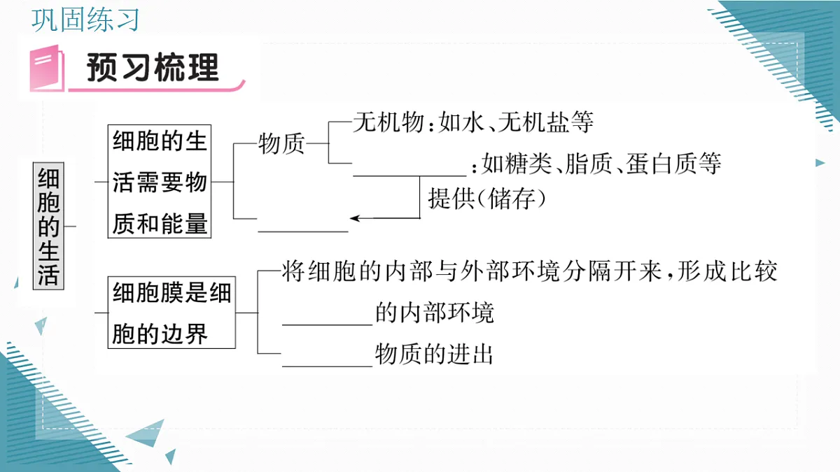 17337764第6页