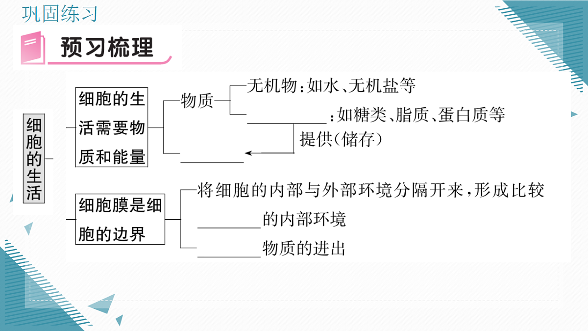 17337764第6页
