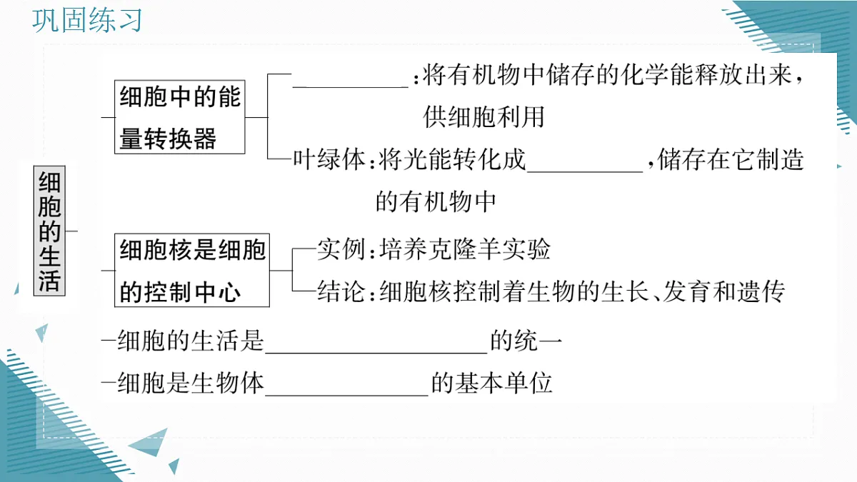 17337764第7页