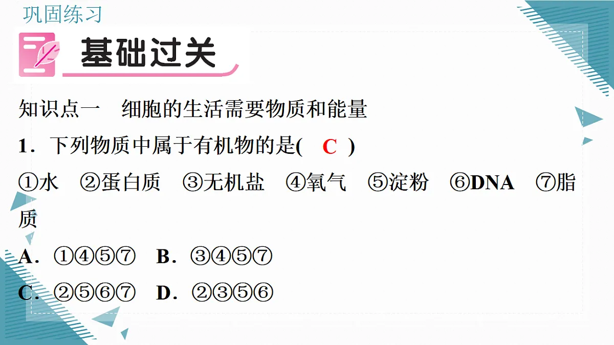 17337764第8页