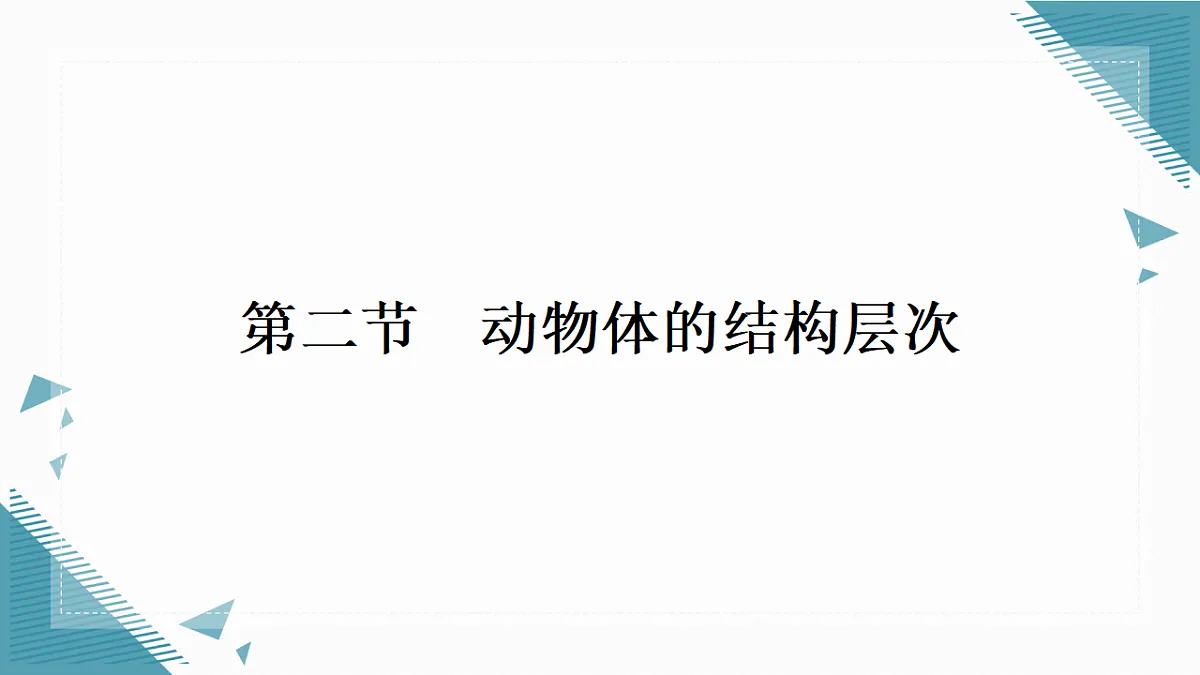 17337765第1页