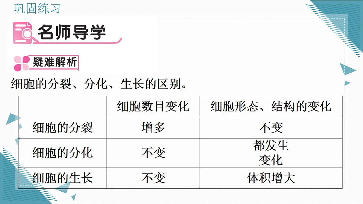 17337765第2页