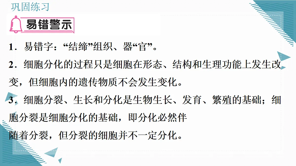 17337765第3页