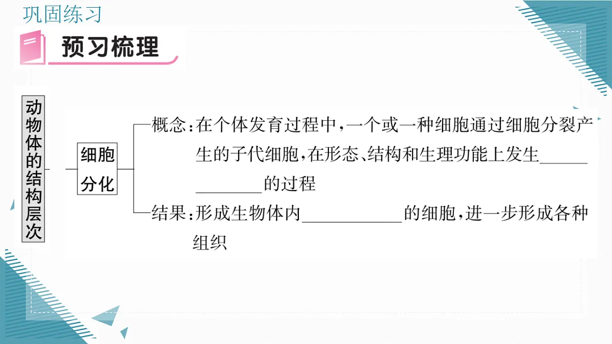 17337765第5页