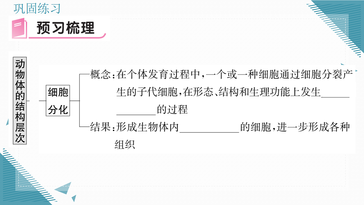 17337765第5页