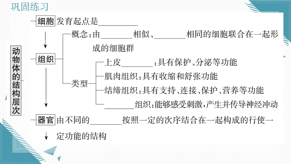 17337765第6页