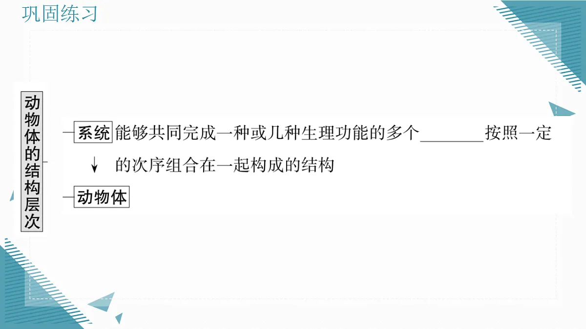 17337765第7页