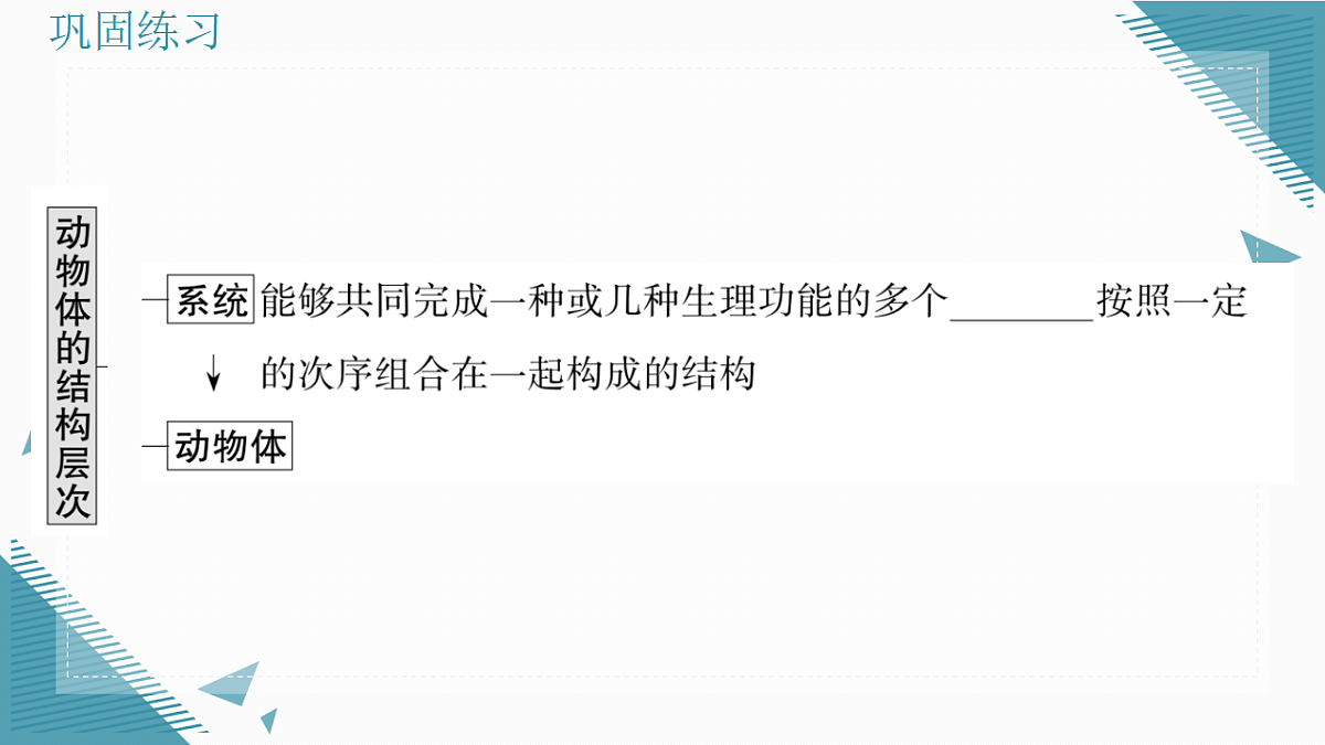 17337765第7页