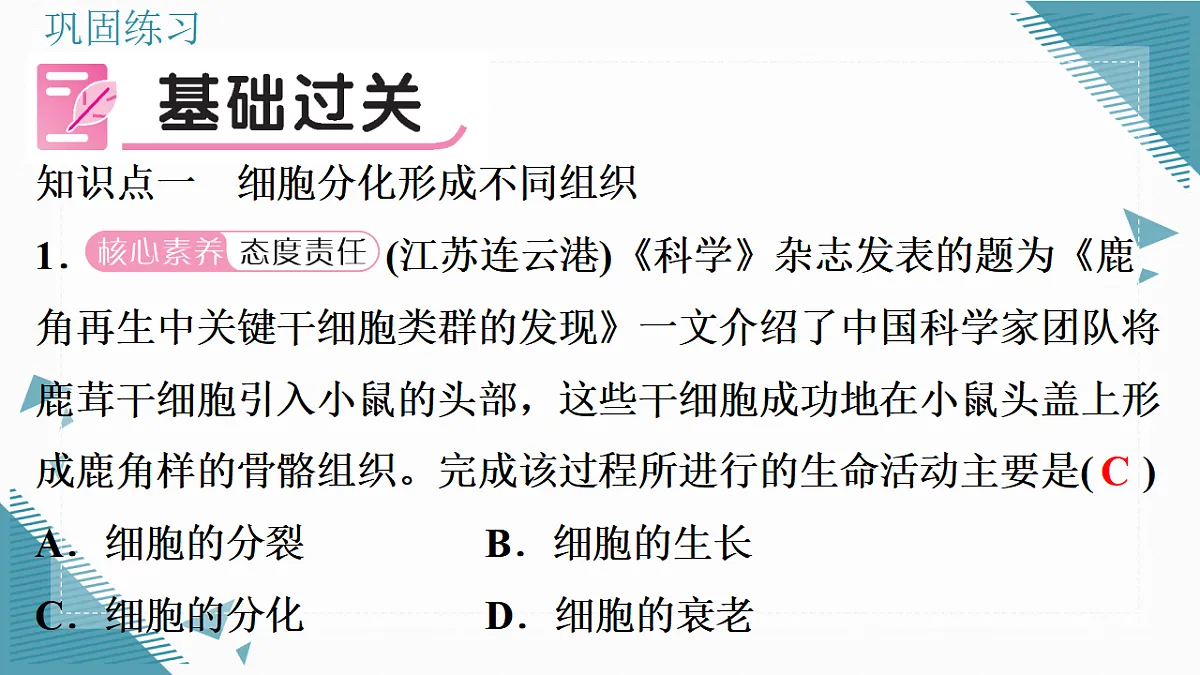17337765第8页