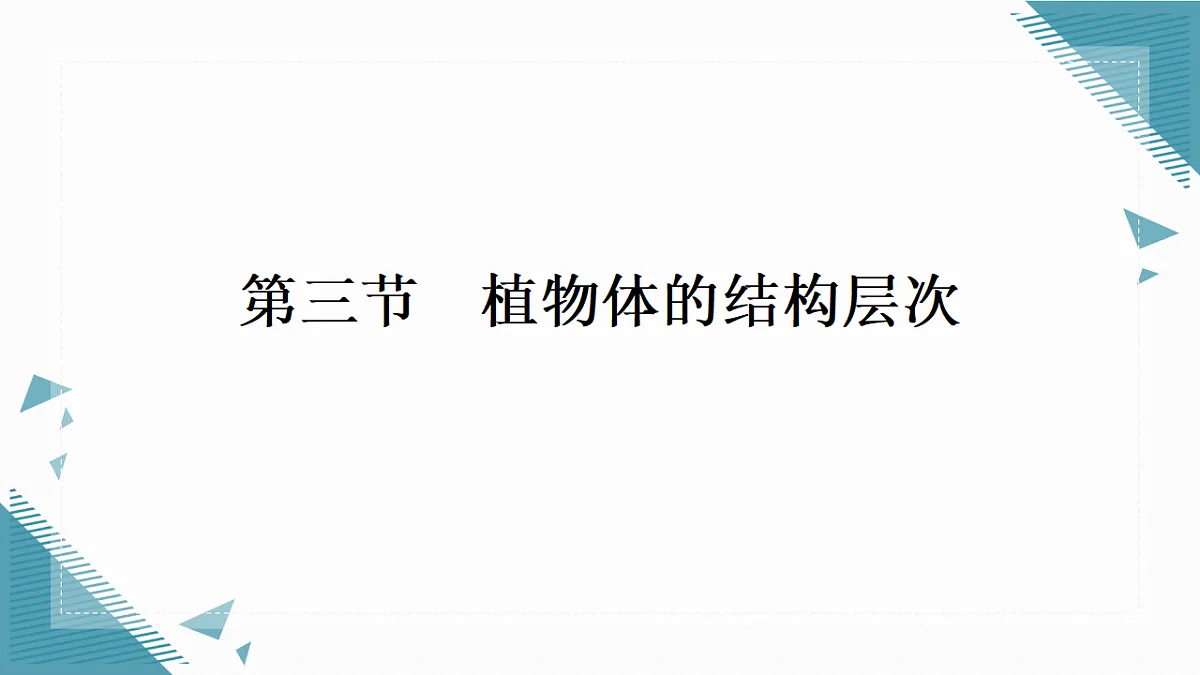 17337766第1页