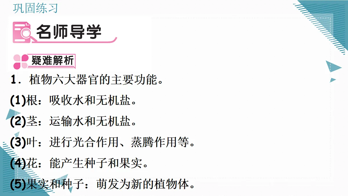17337766第2页
