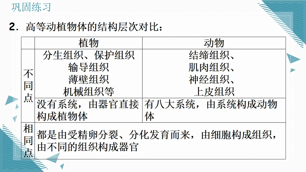 17337766第3页