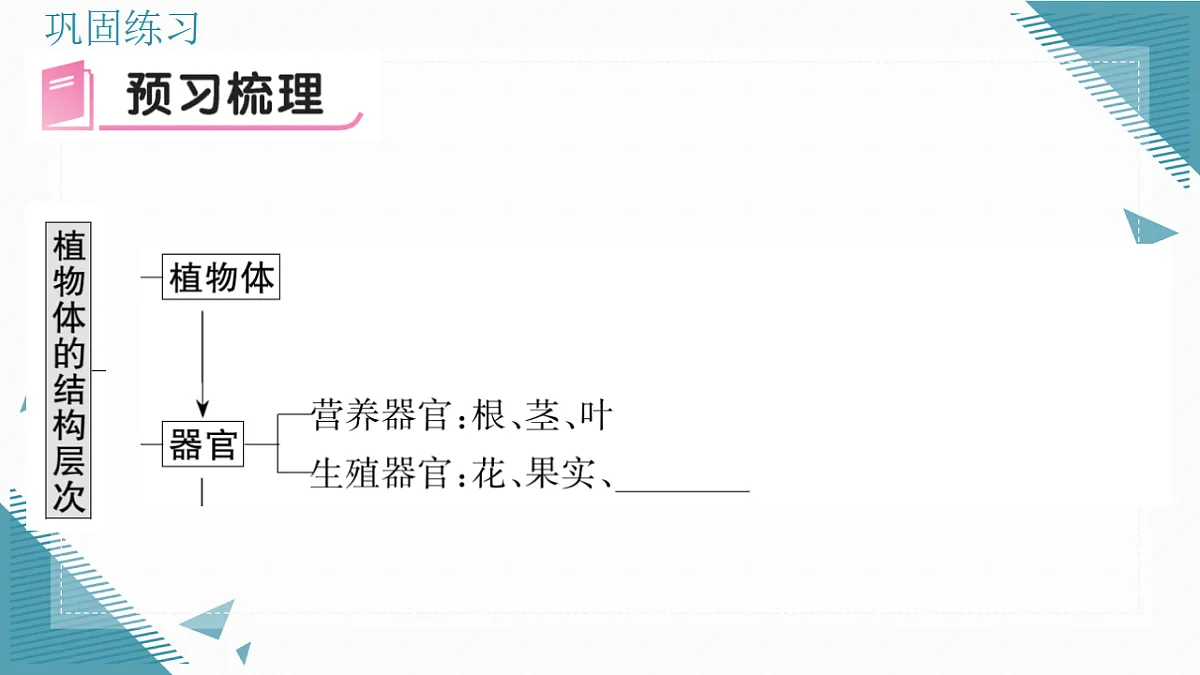 17337766第5页