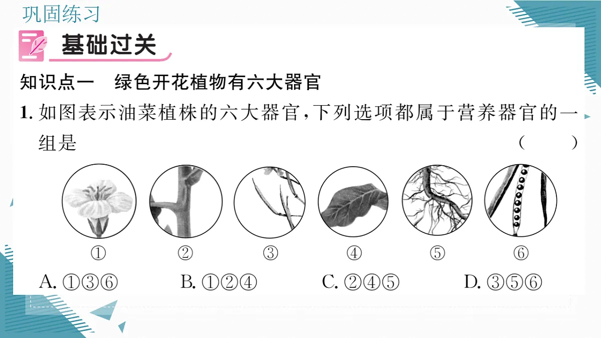 17337766第7页