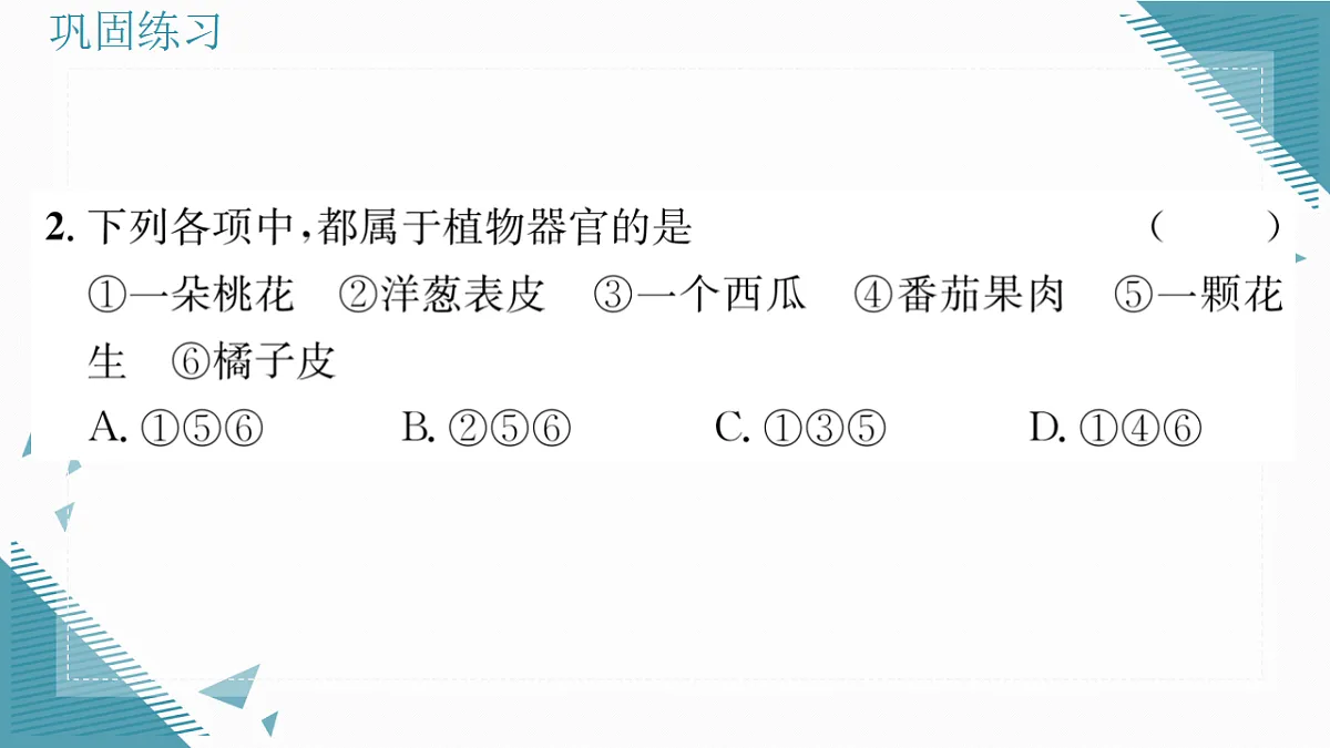 17337766第8页