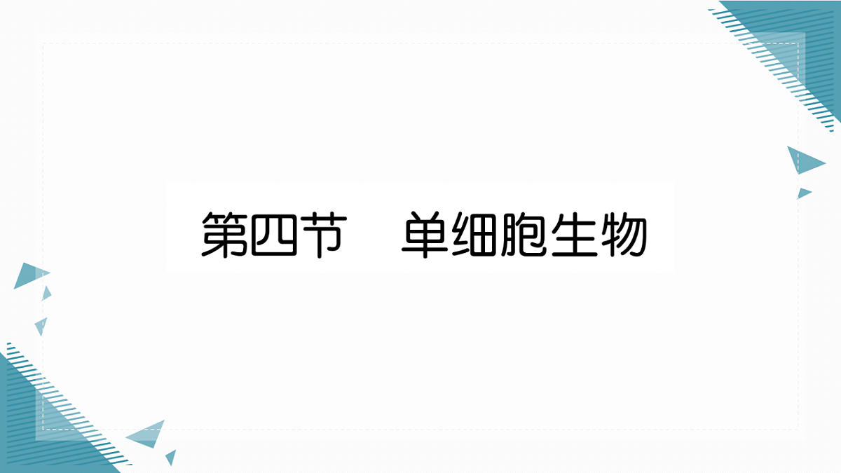 17337767第1页