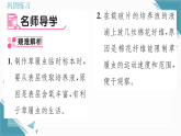 2025年人教版（2024）初中生物七年级上册第一单元第三章第四节单细胞生物 习题课课件（含答案）
