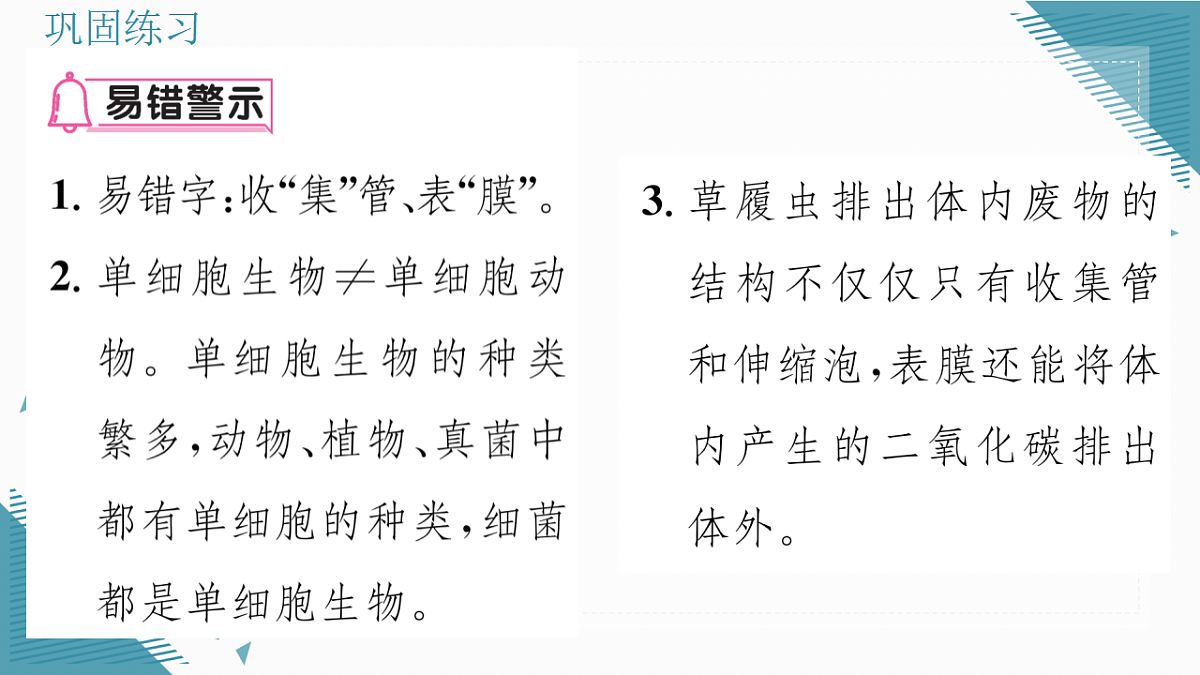17337767第3页