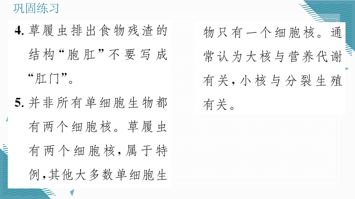 17337767第4页