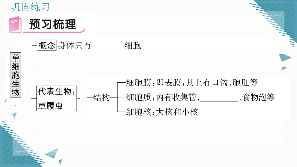 17337767第5页