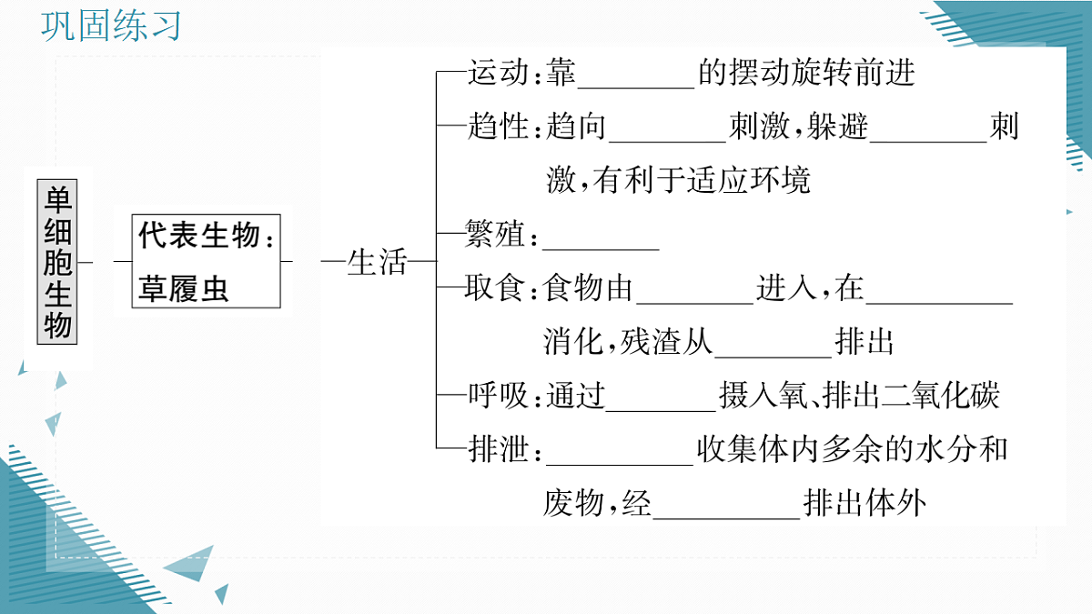 17337767第6页