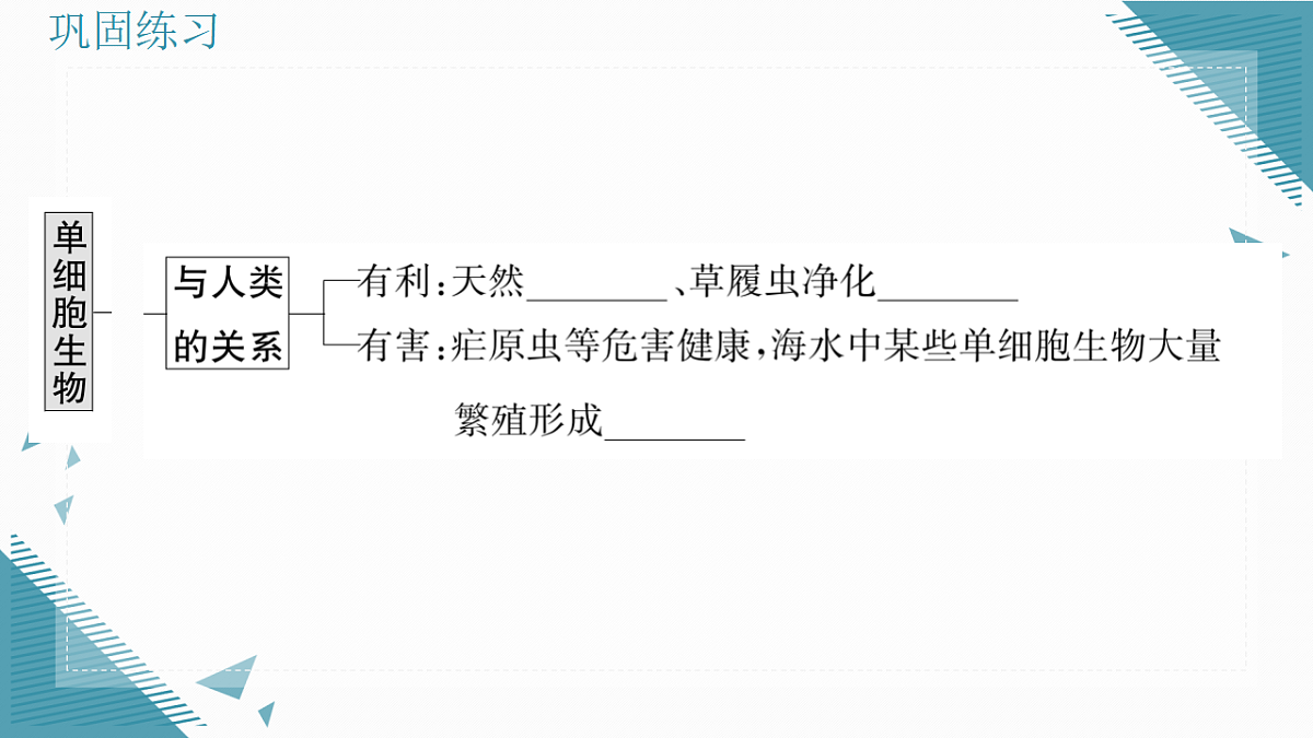 17337767第7页