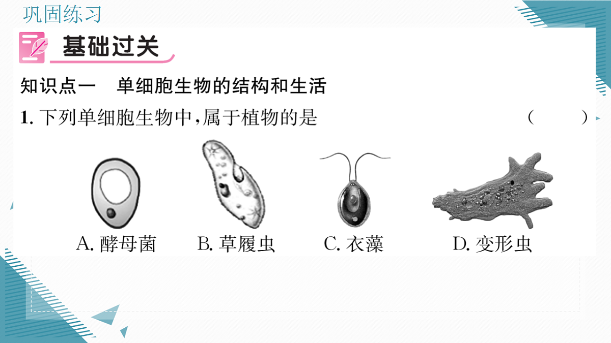 17337767第8页