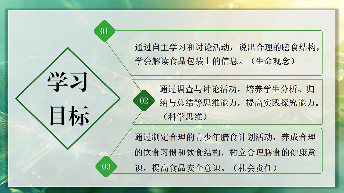 17337835第2页