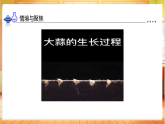 【核心素养目标】教科版一上科学 1.5 植物的变化（课件+教学设计表格式+分层作业含答案）