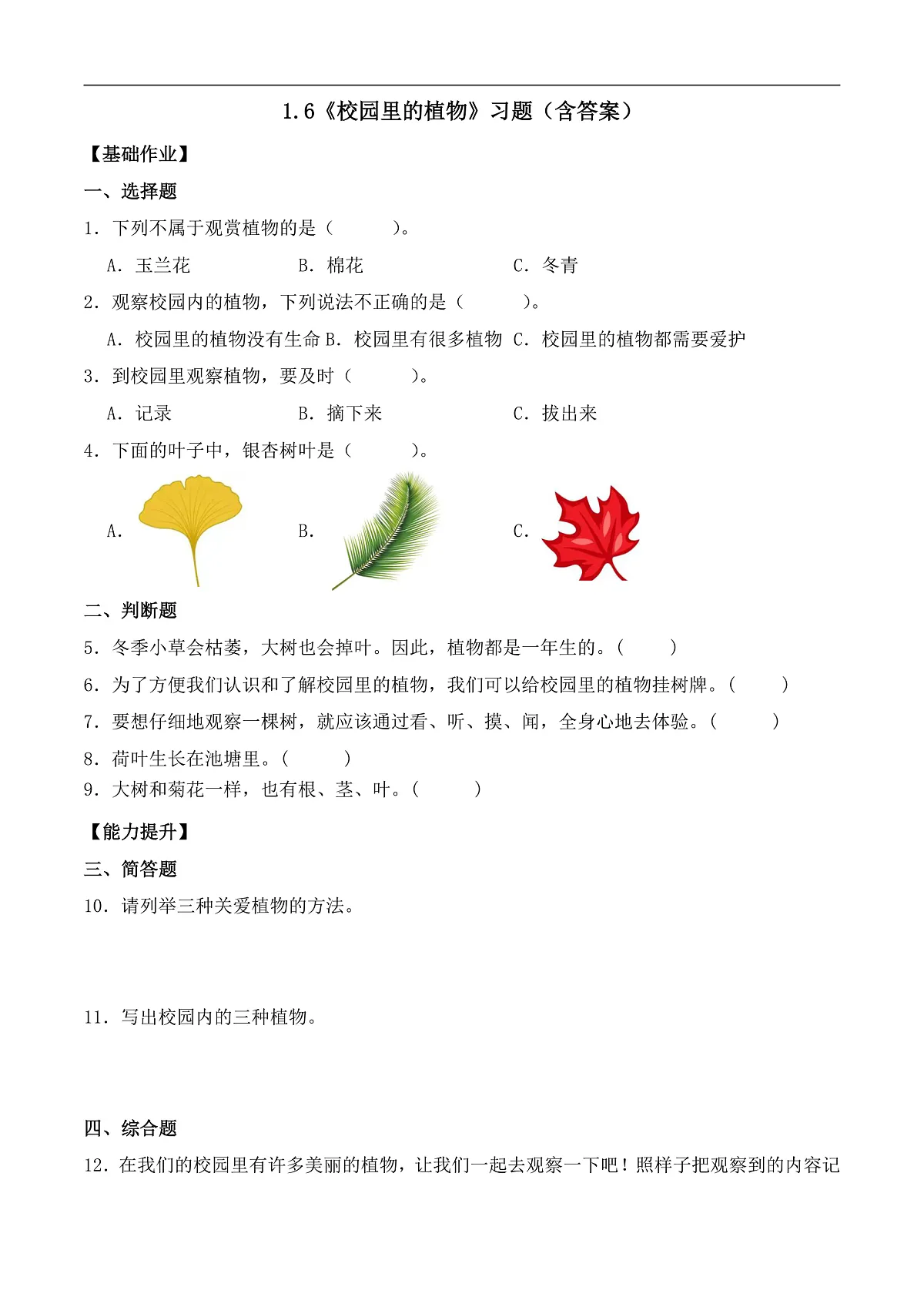 1.6 校园里的植物（分层作业）科学教科版一年级上册（新教材）第1页