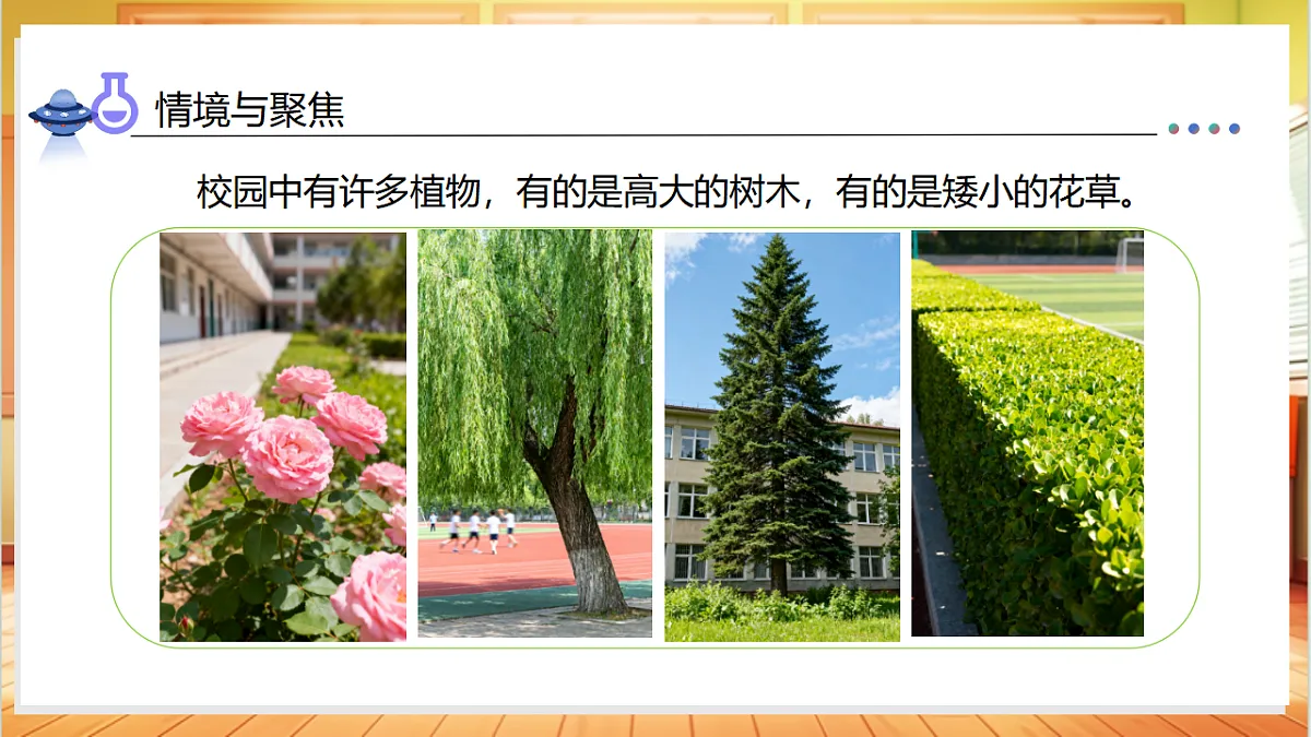 1.6 校园里的植物（教学课件）科学教科版一年级上册（新教材）第6页