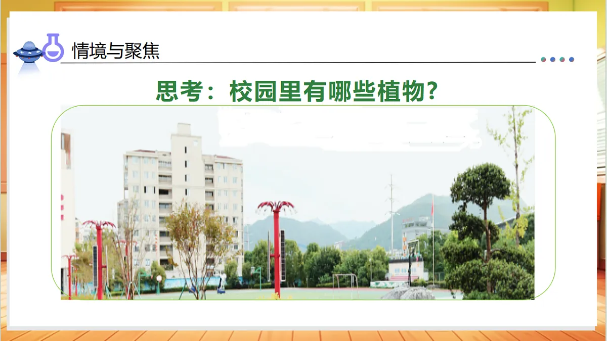 1.6 校园里的植物（教学课件）科学教科版一年级上册（新教材）第7页