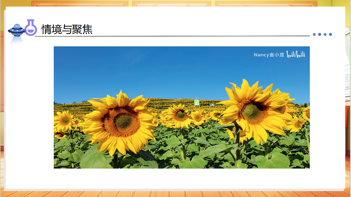 1.4+给植物画张“像”（教学课件）科学教科版一年级上册（新教材）第5页