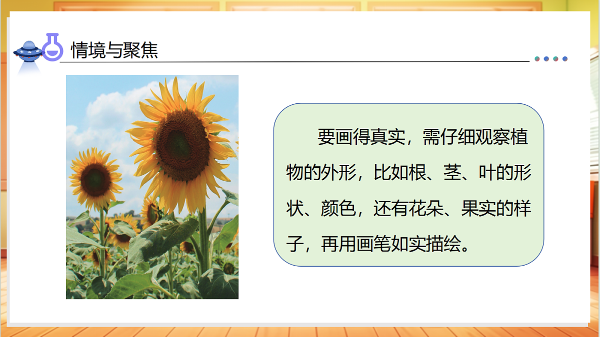 1.4+给植物画张“像”（教学课件）科学教科版一年级上册（新教材）第8页