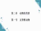 2025年人教版（2024）初中生物七年级上册第二单元第二章第1节  无脊椎动物习题课课件（含答案）