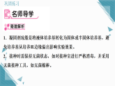 2025年人教版（2024）初中生物七年级上册第二单元第三章第1节  微生物的分布习题课课件（含答案）