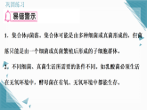2025年人教版（2024）初中生物七年级上册第二单元第三章第1节  微生物的分布习题课课件（含答案）