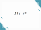 2025年人教版（2024）初中生物七年级上册第二单元第三章第4节  病毒习题课课件（含答案）