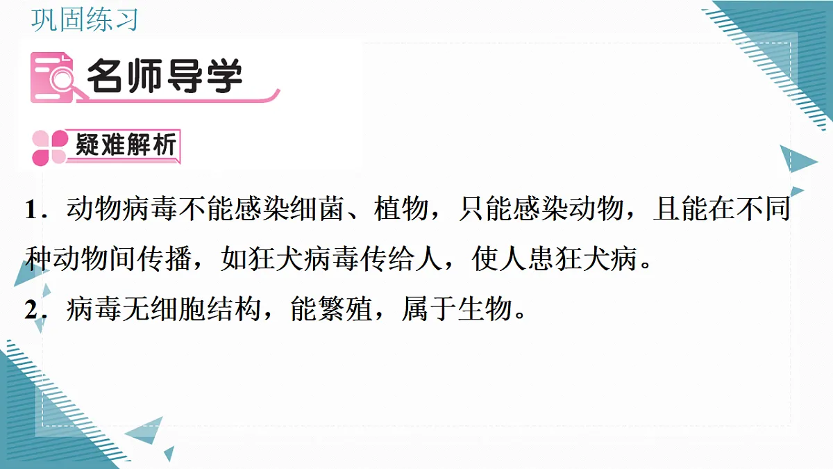 17338098第2页
