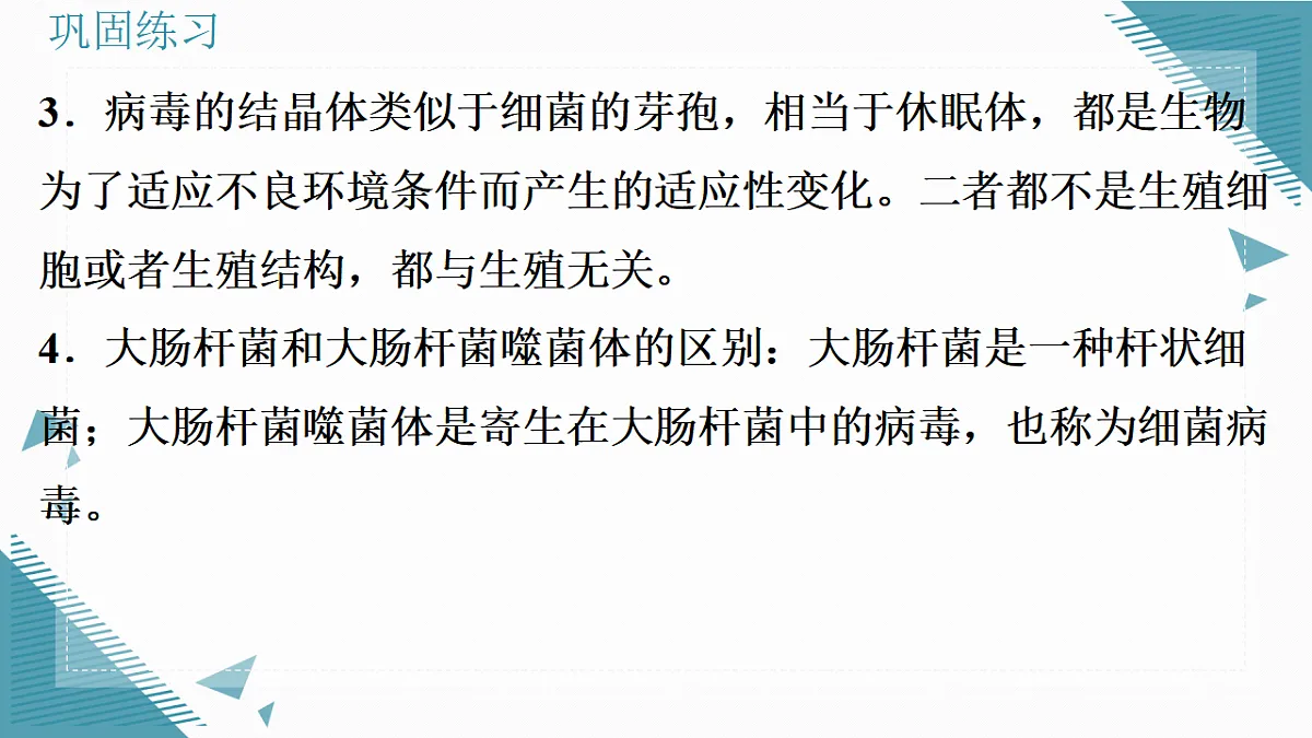 17338098第3页