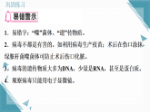 2025年人教版（2024）初中生物七年级上册第二单元第三章第4节  病毒习题课课件（含答案）
